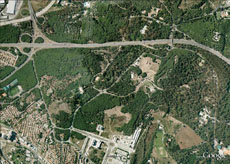 Monsanto Park