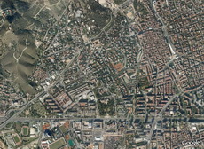 Pedralbes