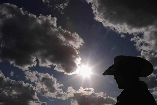 AVONDALE, AZ - NOVEMBER 10: A fans watches the NASCAR Nationwide Series Great Clips 200 at Phoenix International Raceway