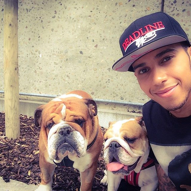 Lewis and dogs.