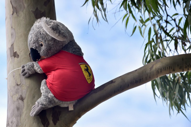 New Season start at Melbourne. New Season start at Melbourne.