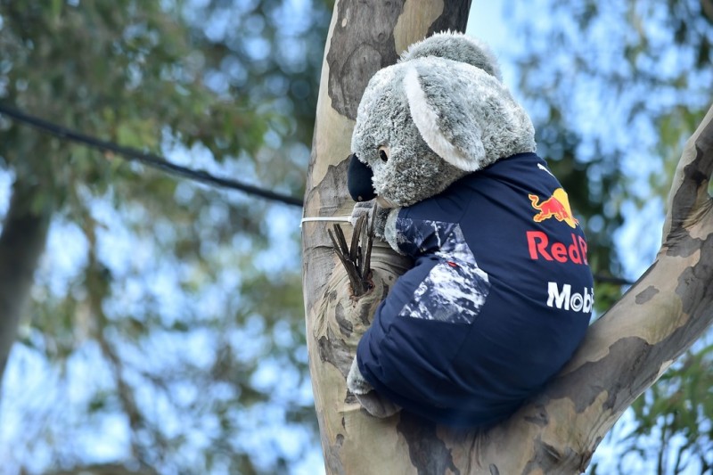 Australian Grand Prix fans. Australian Grand Prix fans.